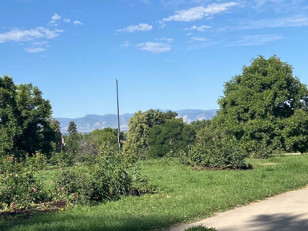walking near me in Cheesman Park in summer
