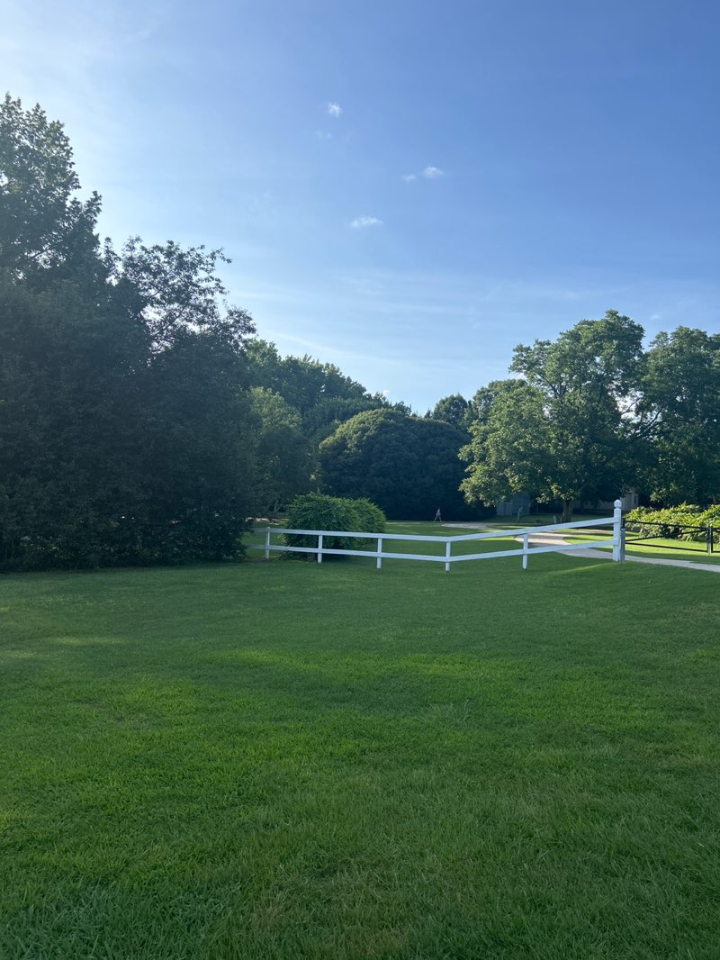 walking near me in Kiesel Park in summer
