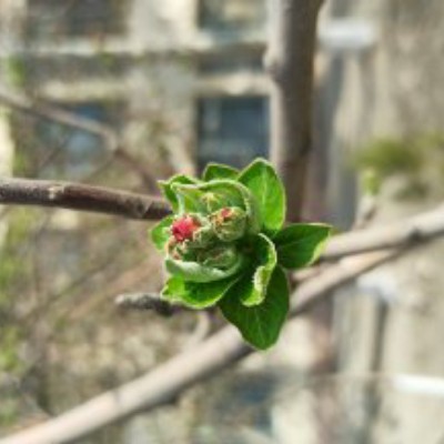 Sidekicks✌️ Мукарам post image