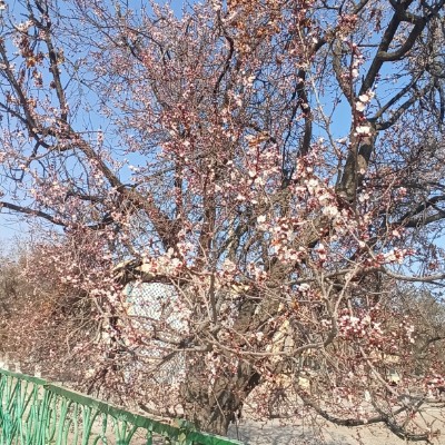 Sidekicks✌️ Мукарам post image