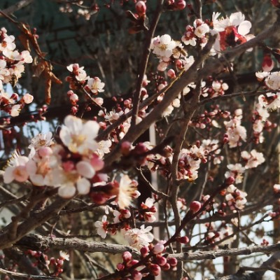 Sidekicks✌️ Мукарам post image