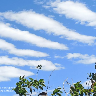 Sidekicks✌️ Мукарам post image