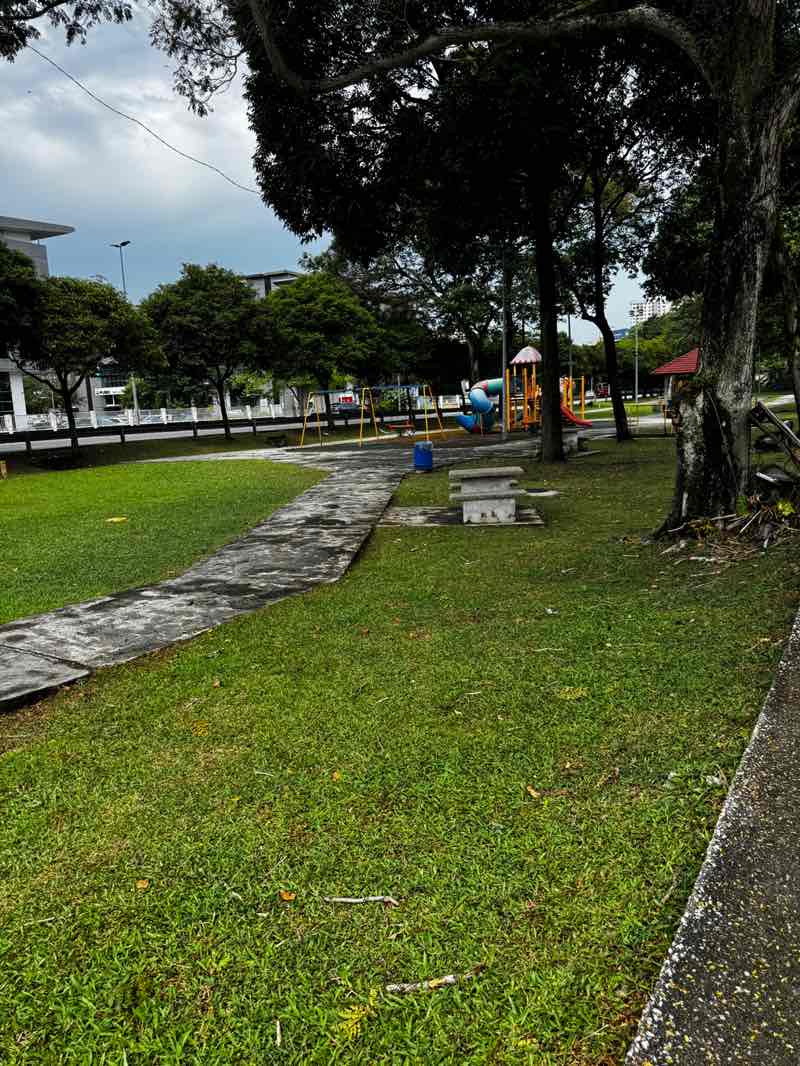 walking near me in S51 Park in summer