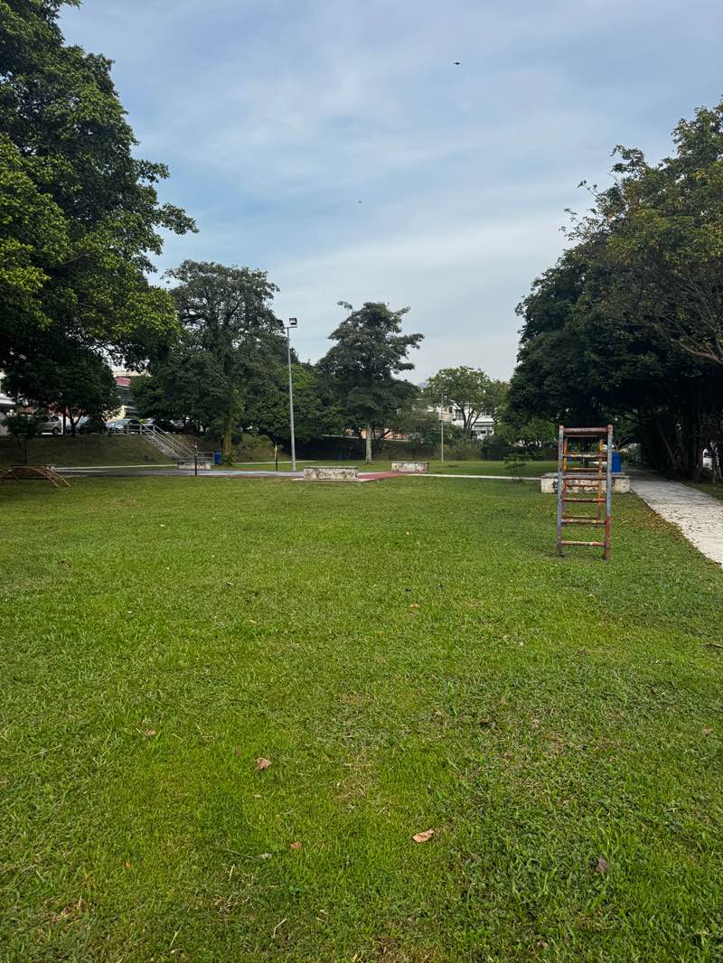 walking near me in SS4C/8 Park in summer