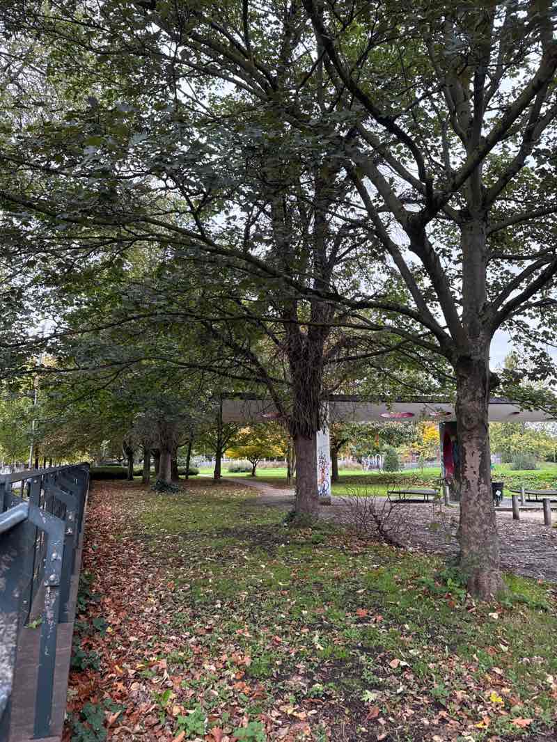 walking near me in Hulme Park in autumn