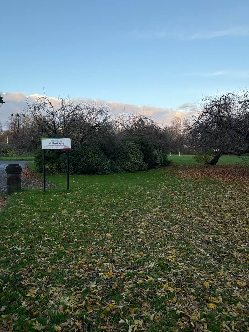 walking near me in Hullard Park in autumn