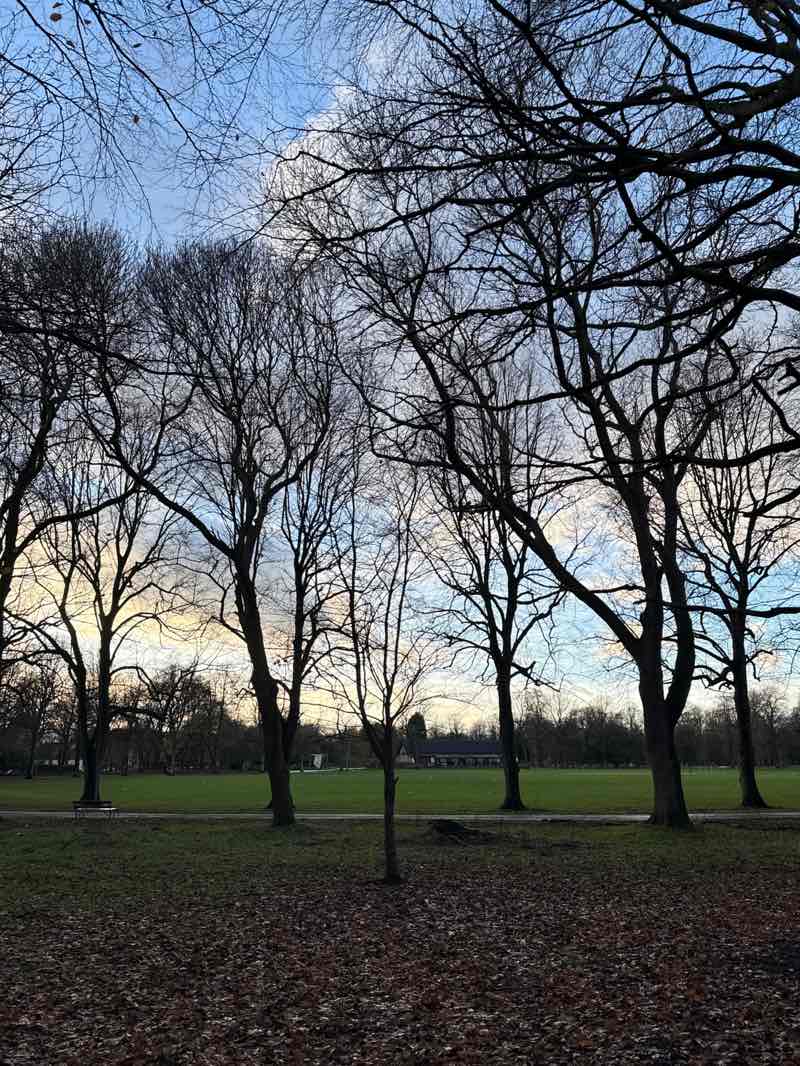 walking near me in Alexandra Park in autumn