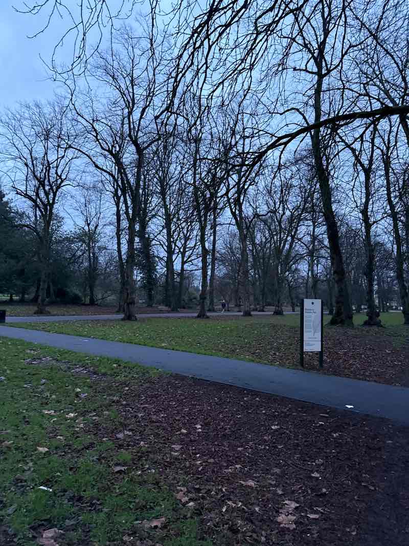 walking near me in Alexandra Park in winter