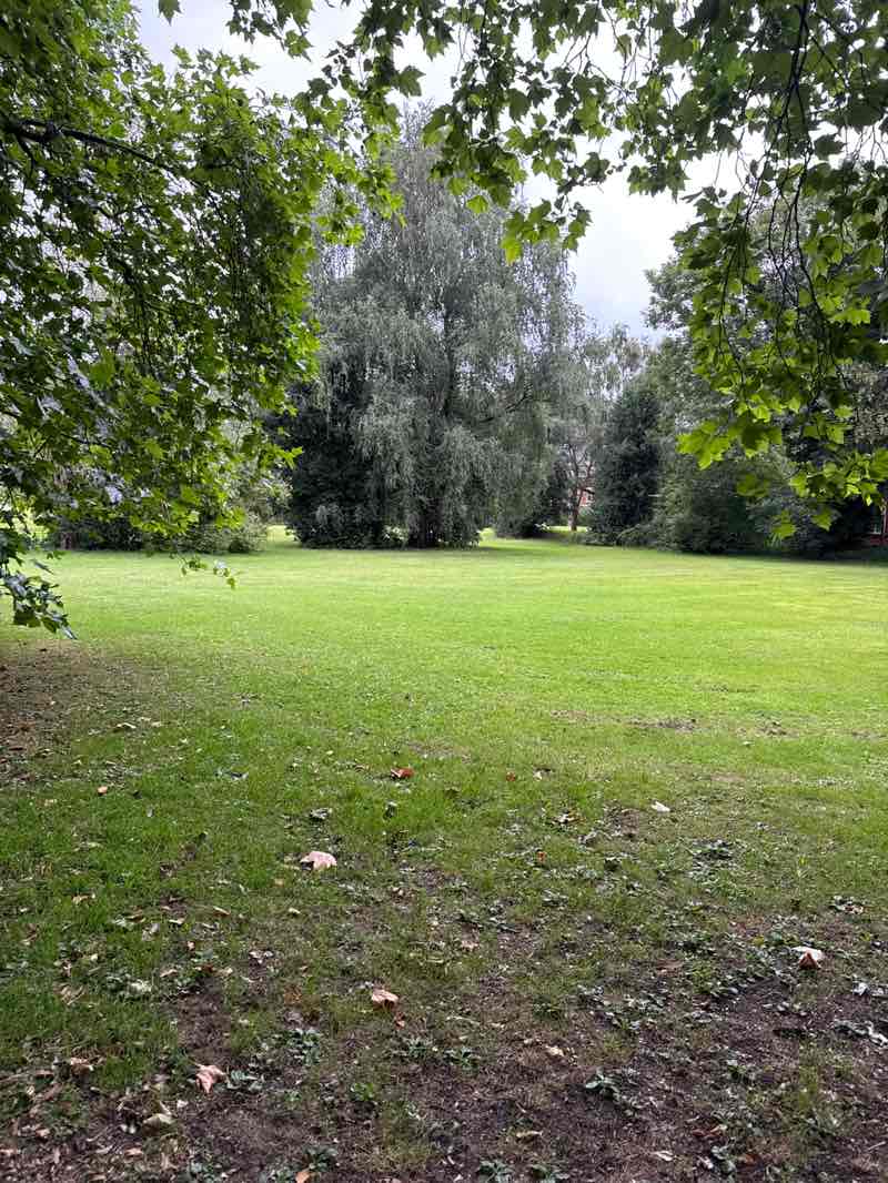 walking near me in Seymour Park in autumn