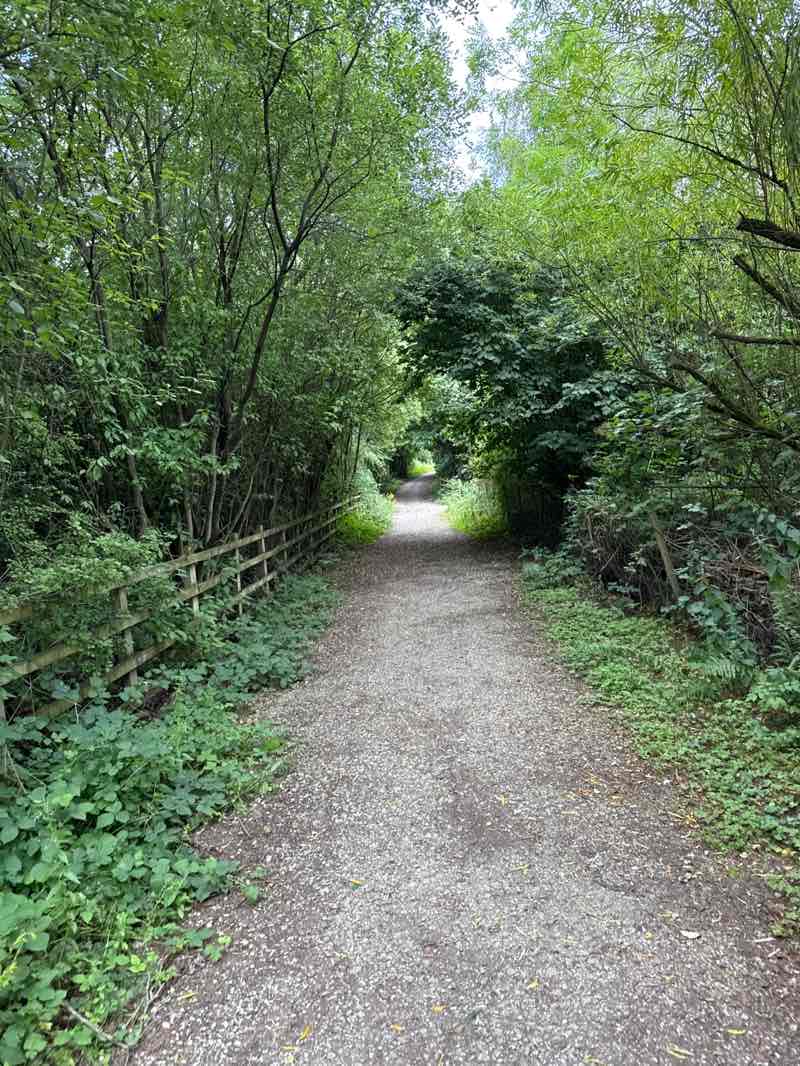 walking near me in Priory Gardens in autumn