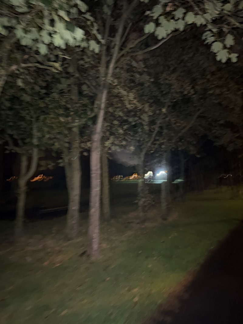 walking near me in Watson Road Park in autumn