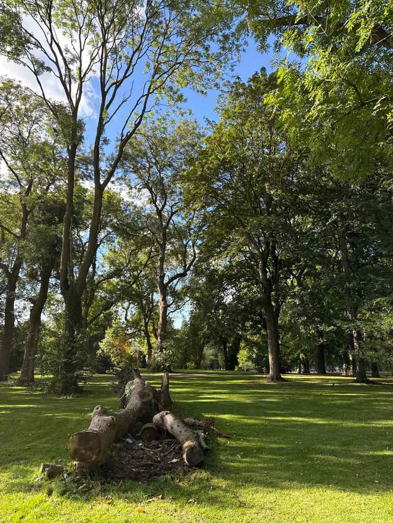 walking near me in Whitworth Park in autumn