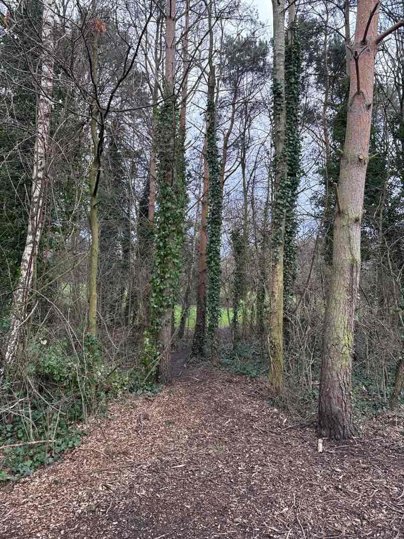walking near me in Holley Park in winter