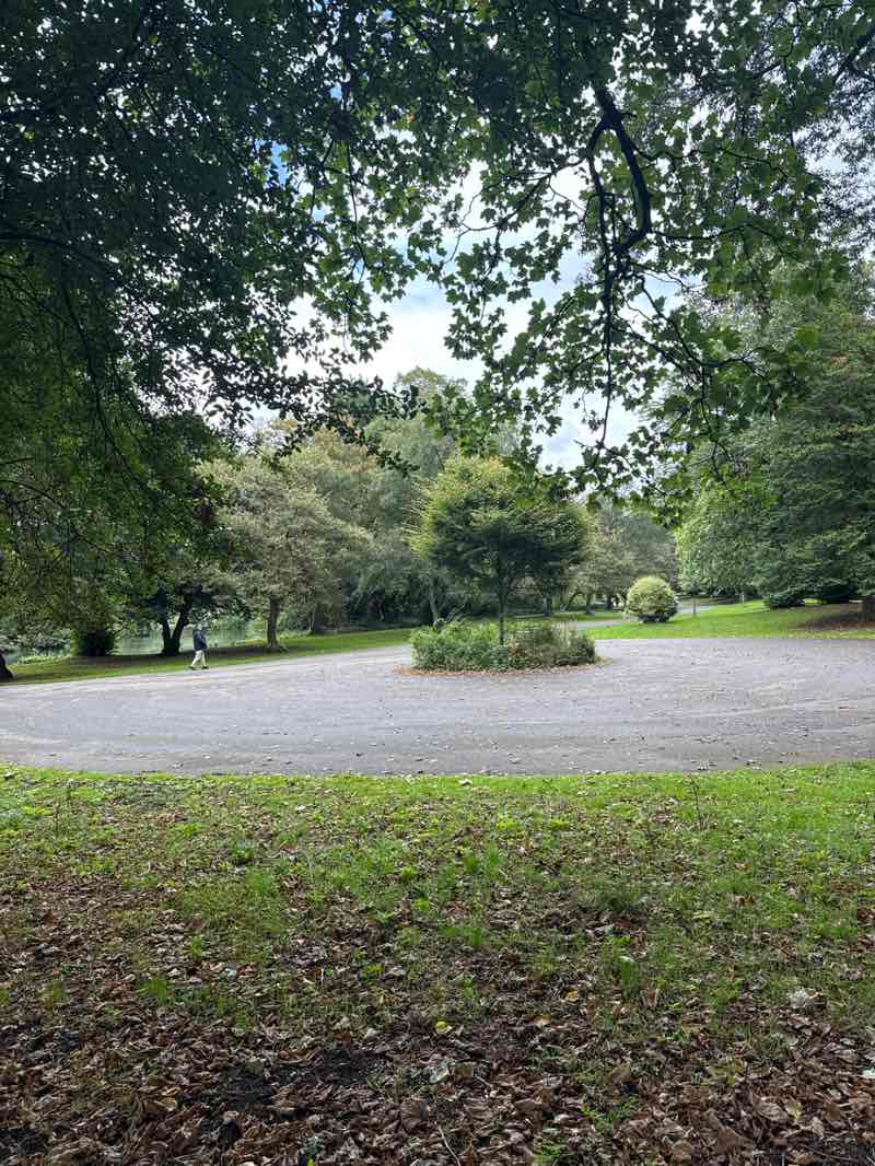 walking near me in Alexandra Park in autumn