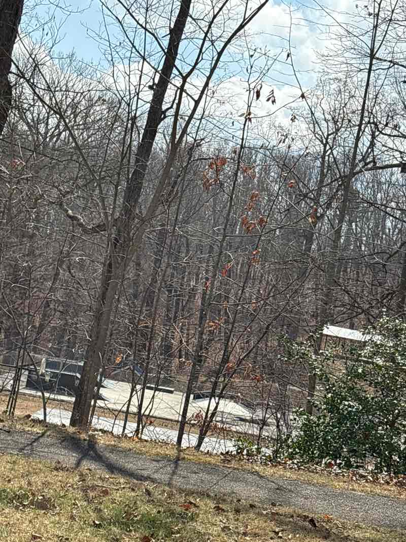 walking near me in J. Frank Wilson Memorial Park in spring