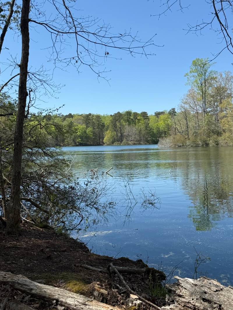 walking near me in Waller Mill Park in spring