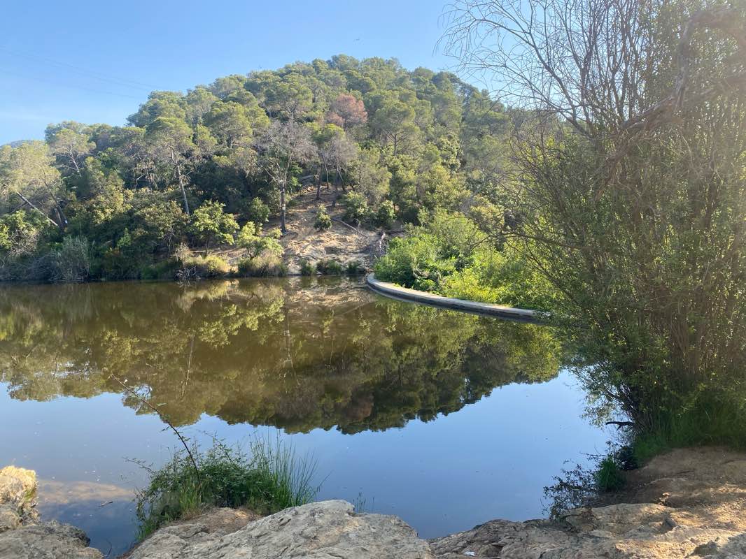walking near me in Parc del Nord in spring