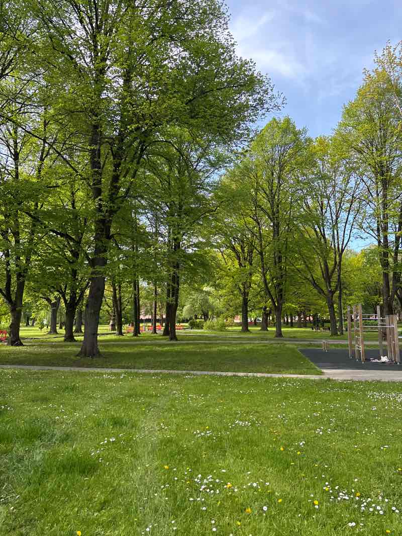 walking near me in Latgale Park in spring