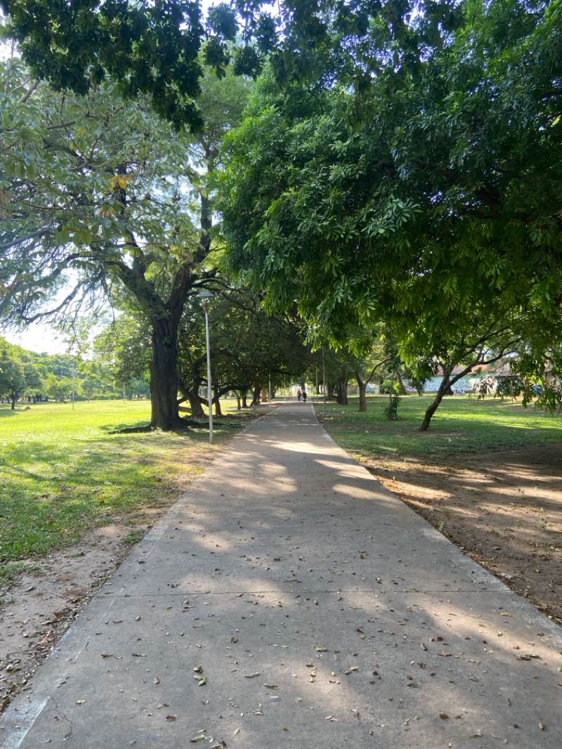 walking near me in Parque Urbano in summer