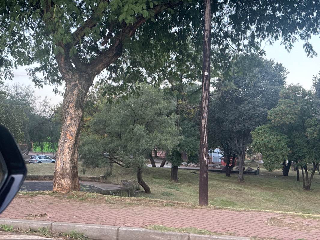 walking near me in Thokoza Park in autumn