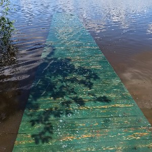 Инна Дмитриевна