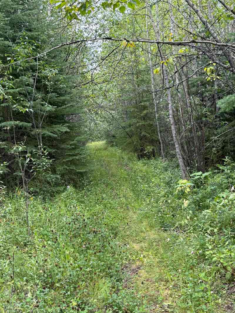 walking near me in Flatbed Pools Trails Network Recreation Site in autumn