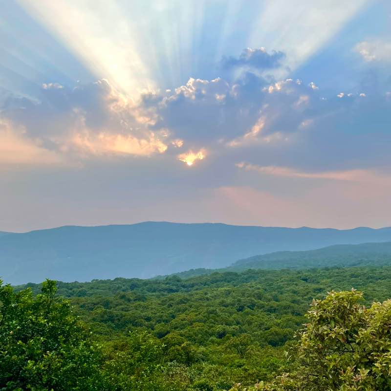 Stay Fitzy Club A R post image