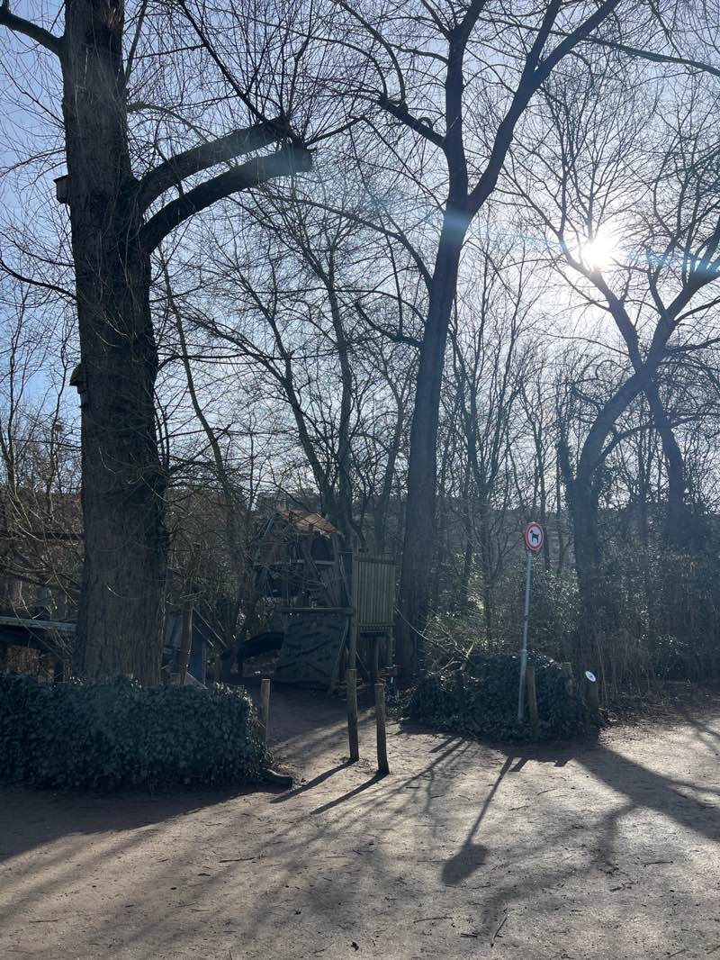 walking near me in Sarphatipark in winter