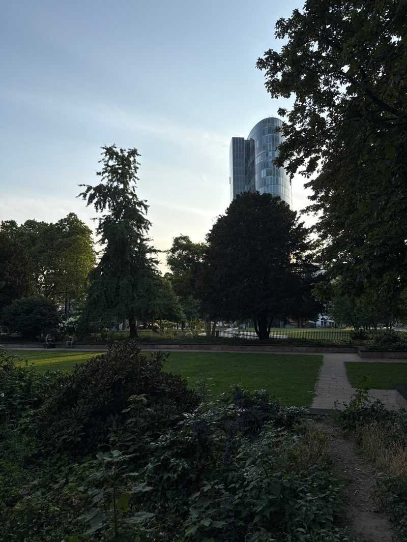 walking near me in Graf-Adolf-Platz in autumn