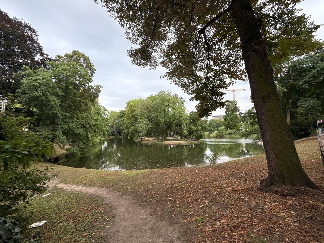 walking near me in Spee'scher Graben in autumn