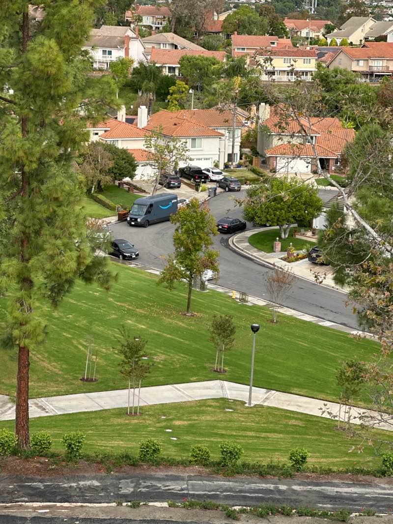 walking near me in Minaya Park in autumn