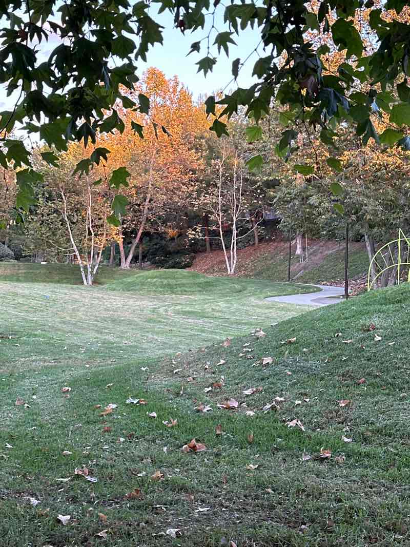 walking near me in The Arbors Club in autumn