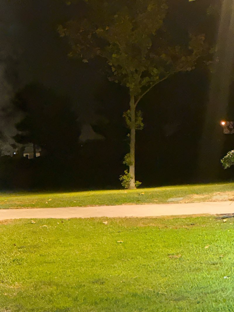 walking near me in Borrego Park in autumn