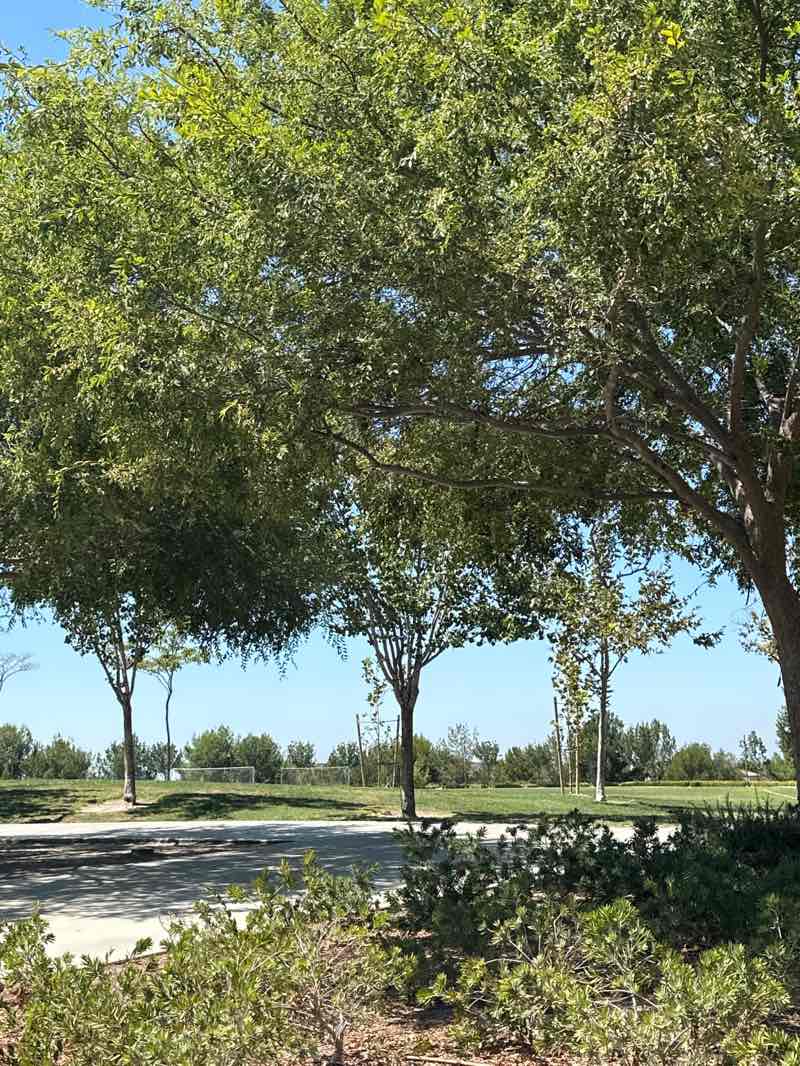 walking near me in Baker Ranch Community Park in autumn