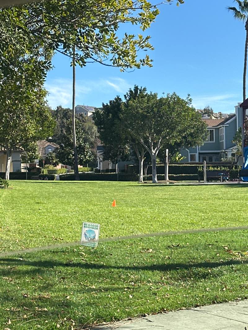 walking near me in Cherry Plunge Park in winter