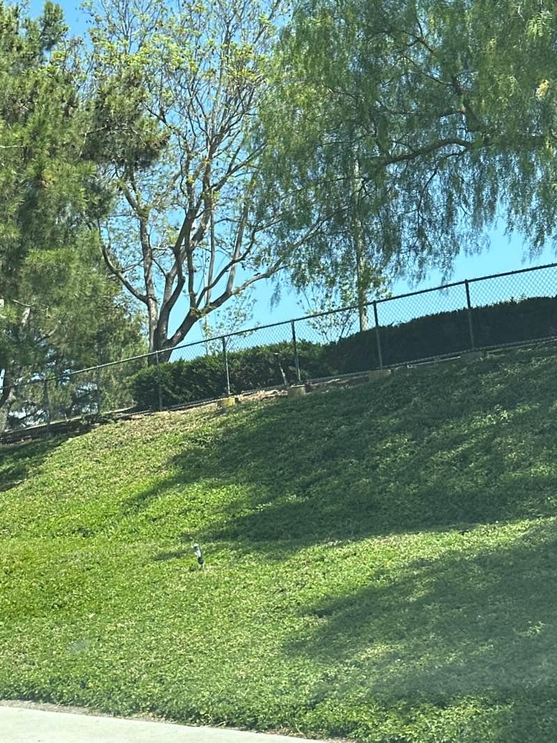 walking near me in James G Gilleran Park in spring
