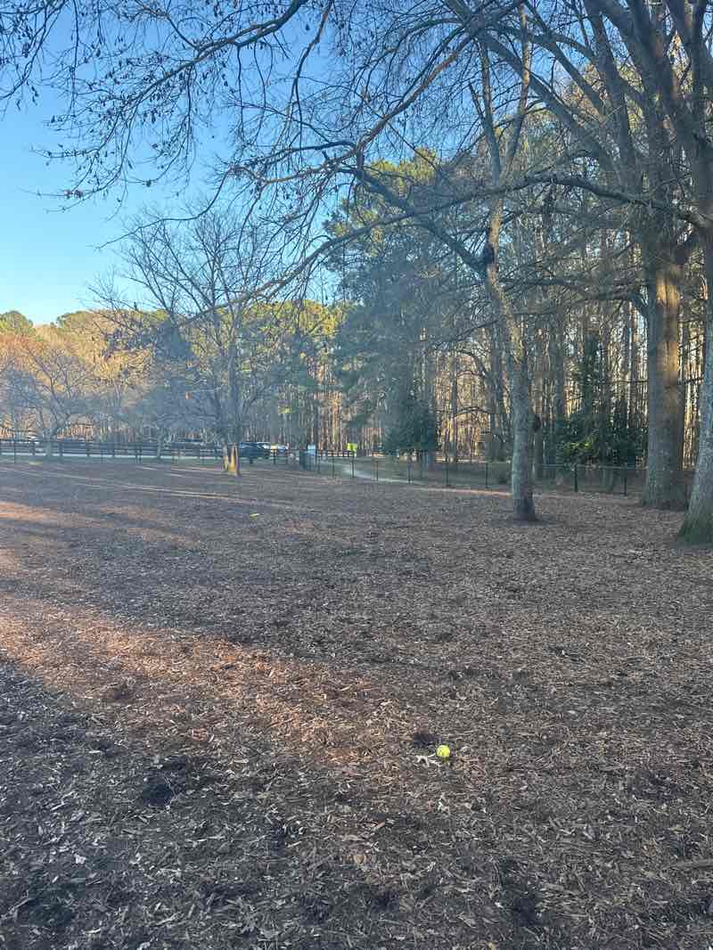 walking near me in Lake Benson Park in spring