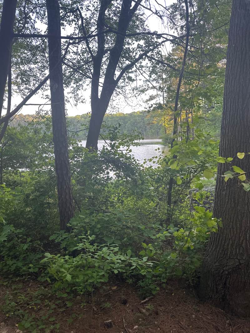 walking near me in Lake Johnson Park in spring