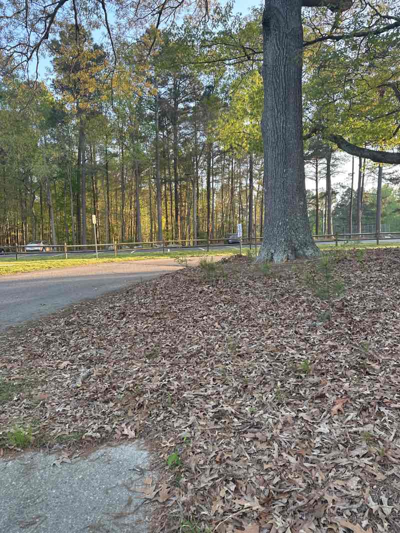 walking near me in Carolina Pines Park in spring