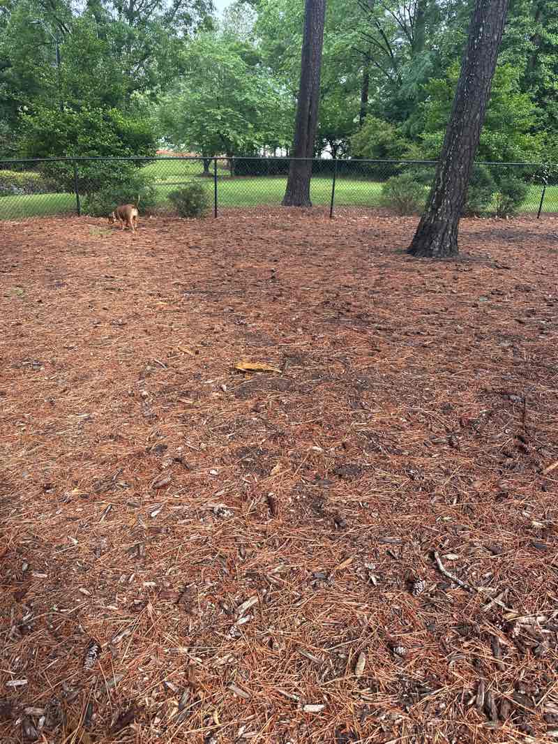 walking near me in Garner Recreational Park in spring