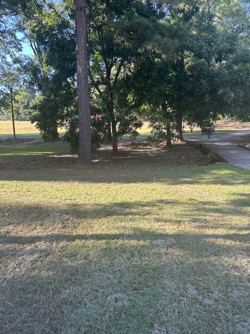 walking near me in Roy G. Turner Park in autumn
