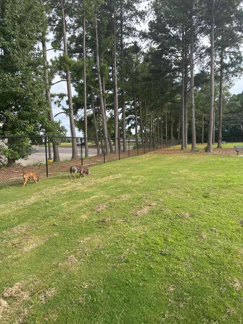 walking near me in Westover Recreation Center in autumn