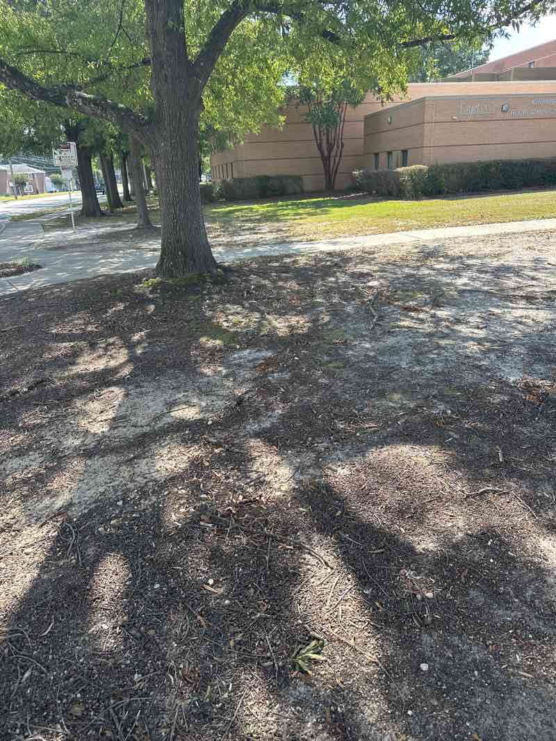 walking near me in Honeycutt Park in autumn