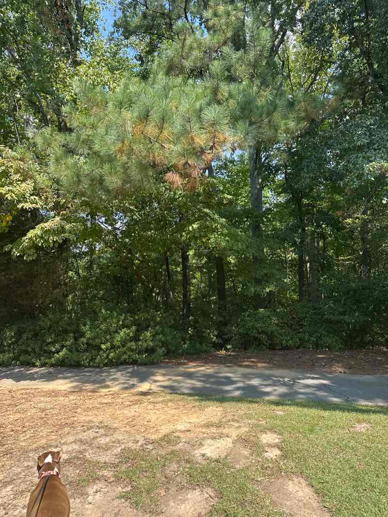 walking near me in Veterans Park in autumn