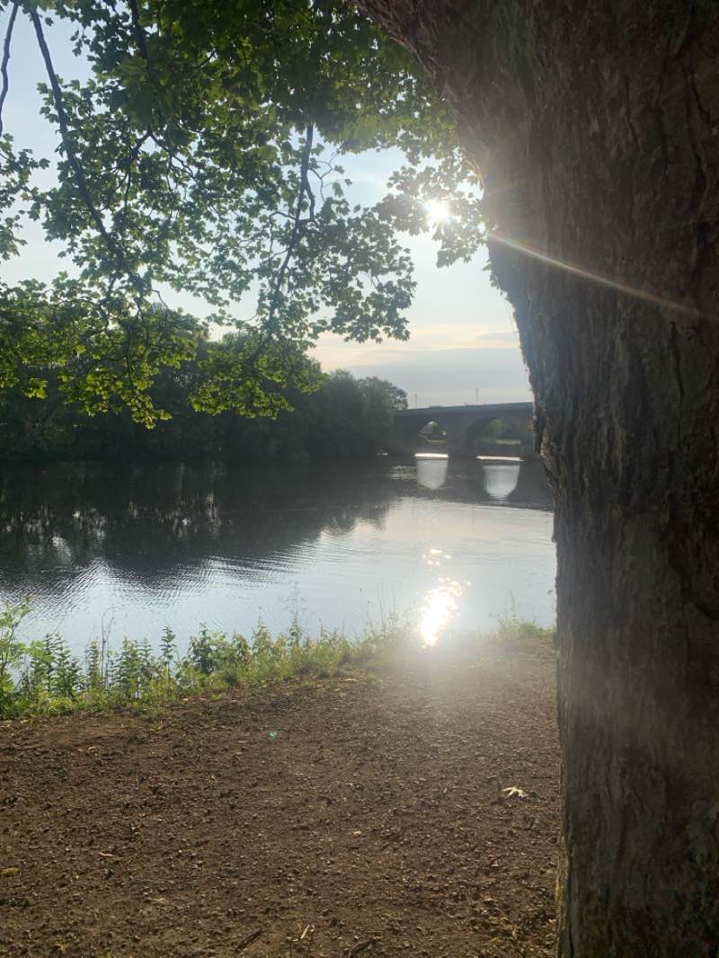 walking near me in Tyne Green Country Park in summer