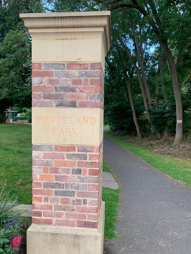 walking near me in Ponteland Park in summer