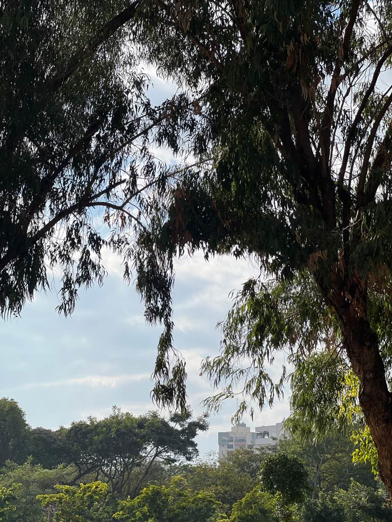 walking near me in גן אלון in winter