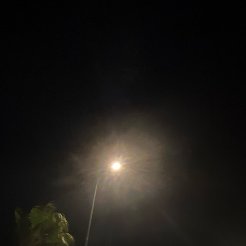 ℳ𝒾𝓁𝒶🧚‍♀️ post 1