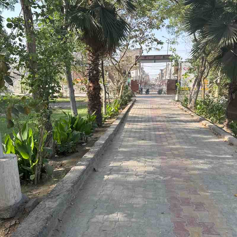 Narinder Singh post 2