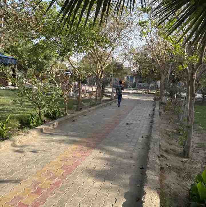 Narinder Singh post 2